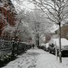 Photos: Strolling Through NYC's Spring Snowstorm 